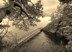 Szary + Sepia