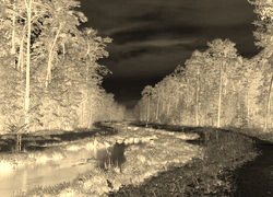 Sepia + Negatyw