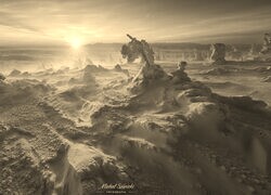 Szary + Sepia