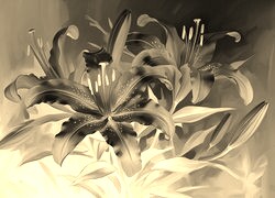 Sepia + Negatyw