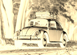 Sepia + Negatyw
