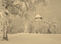 Szary + Sepia