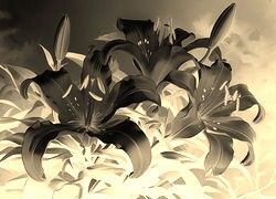 Sepia + Negatyw