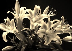 Sepia
