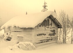 Szary + Sepia