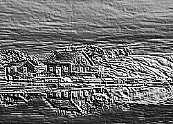 Skamielina