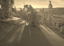 Szary + Sepia