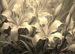 Szary + Sepia