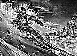 Skamielina
