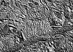 Skamielina