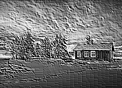 Skamielina