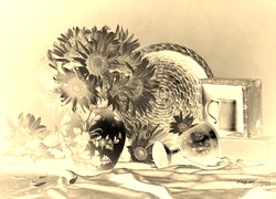 Sepia + Negatyw