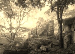 Sepia