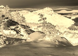 Sepia + Negatyw