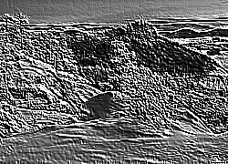Skamielina