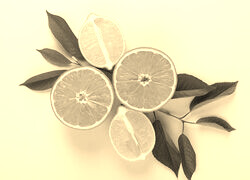 Szary + Sepia