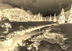 Sepia + Negatyw