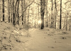 Sepia
