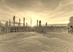 Szary + Sepia