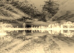 Sepia + Negatyw