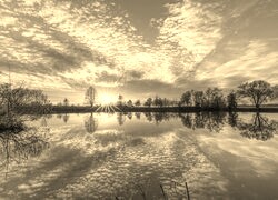 Szary + Sepia