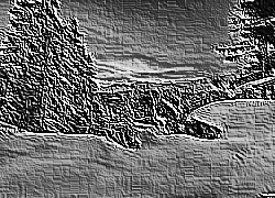Skamielina