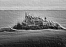 Skamielina