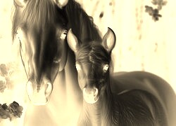 Sepia + Negatyw