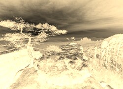 Sepia + Negatyw
