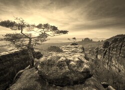 Szary + Sepia