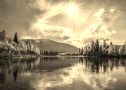 Szary + Sepia