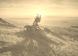 Szary + Sepia