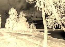 Sepia + Negatyw