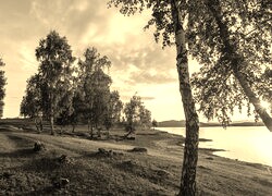 Szary + Sepia