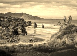 Szary + Sepia