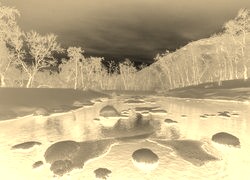 Sepia + Negatyw