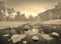 Szary + Sepia