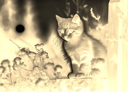 Sepia + Negatyw
