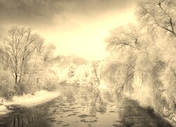 Sepia