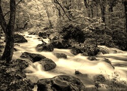 Sepia