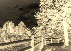 Sepia + Negatyw