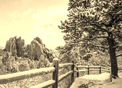 Sepia