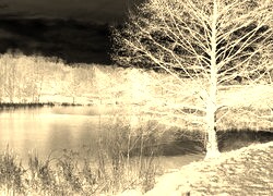 Sepia + Negatyw