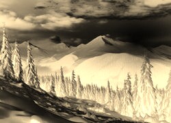 Sepia + Negatyw