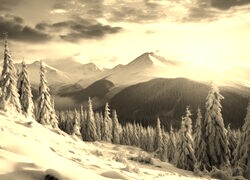 Sepia