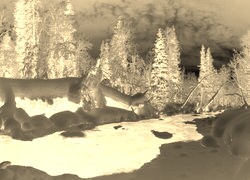 Sepia + Negatyw
