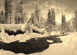 Sepia