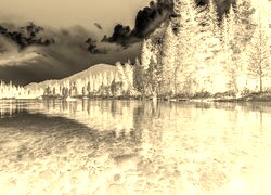 Sepia + Negatyw