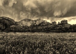 Szary + Sepia