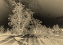 Sepia + Negatyw